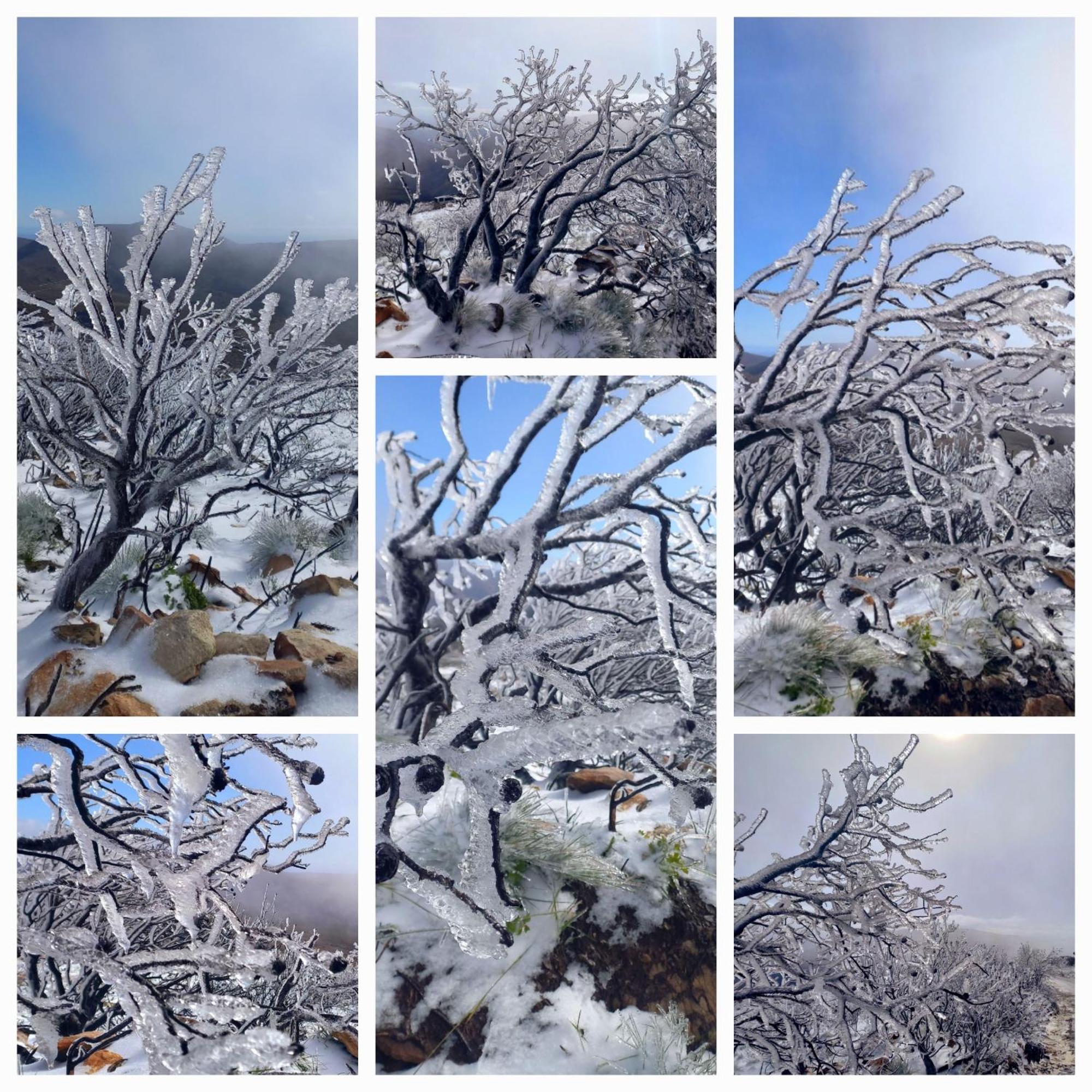 Aloe Valley Retreat Oudtshoorn Eksteriør bilde